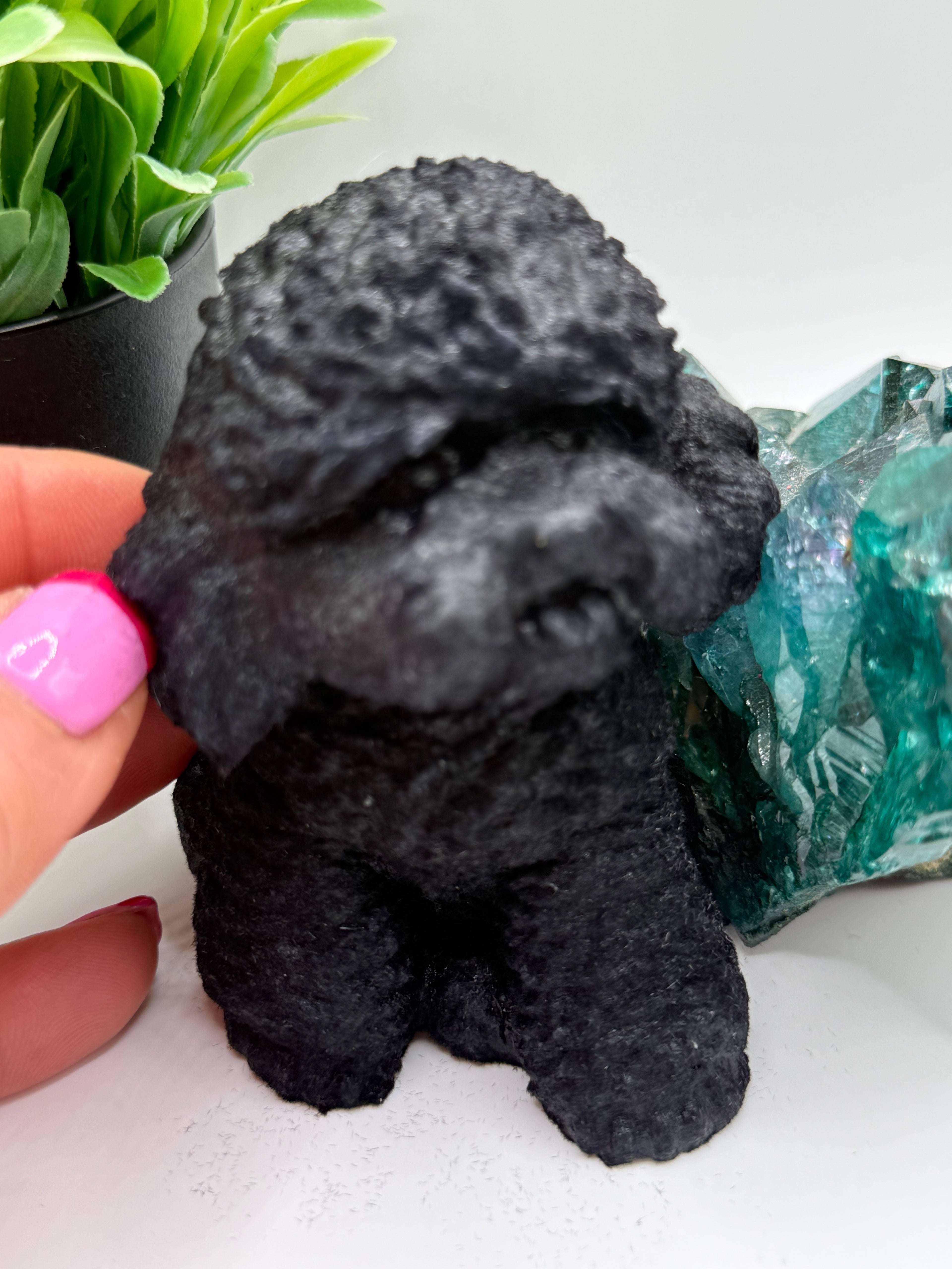 Doodle Dog Taba Squishy - Sensory & Fidget Toy