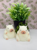 Capybara Taba Squishy | Anxiety, Stress Relief & Sensory Toy